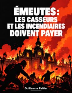 Illustration d'émeutiers devant un bâtiment public en flammes, accompagnée du message de Guillaume Peltier : « Les casseurs et les incendiaires doivent payer ».